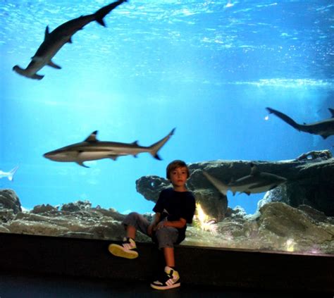 AQUARIUM DE PARIS - Les enfants à Paris