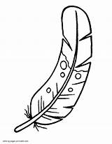 Feather Of A Bird Kindergarten coloring Sheet  COLORING PAGES sketch template