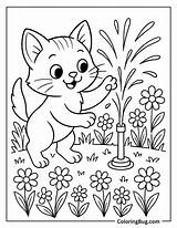 30 Cat Summer Coloring Pages Free Printable PDFs sketch template