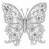 Butterfly With Organic patterns coloring Page Lulu Pages sketch template
