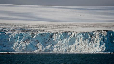 Krill fishing banned across much of the Antarctic under new deal | Sky News