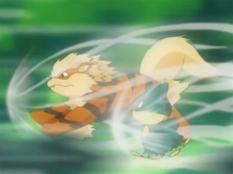 Arcanine: Best Moveset, Weaknesses & Counters, Stats, and Evolution