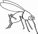 25  Desenhos De Mosca → Imprimir E Colorir Moldes Insect coloring sketch template