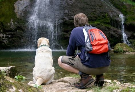 8 Best U.S. Hiking Trails for Dogs | petMD