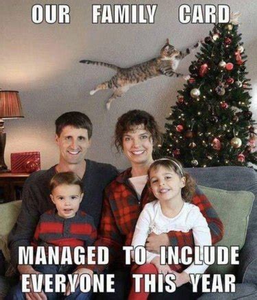 19 Cats Vs Christmas Tree Memes That All Cat Owners Can Relate To ...