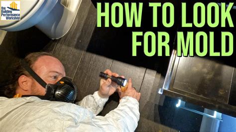 Mold Inspection Tips from a Pro: What to Look For with Jason Earle from ...