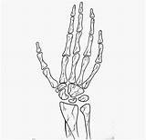 Skeleton Hand Drawing Coloring Pages sketch template