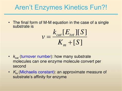 PPT - Chapter 6.3: Enzyme Kinetics PowerPoint Presentation, free download - ID:6955152