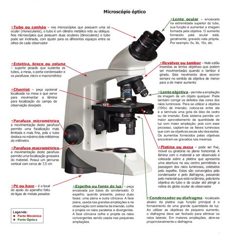 Como Funciona El Microscopio Optico - Image to u