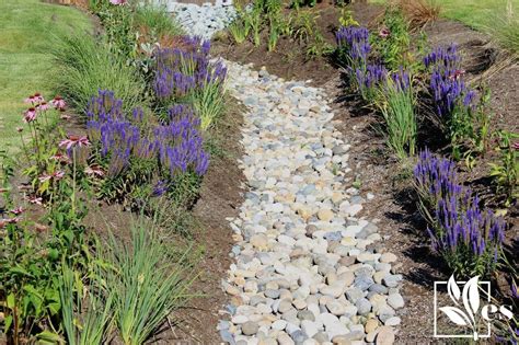 17 Drainage Ditch Landscaping Ideas That Still Aren’t Overused!