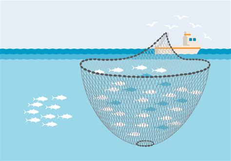 Commercial fishing methods - Sustainable Fisheries UW