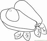 Avocados Coloring Page For Kids  Free Avocado Printable Pages sketch template