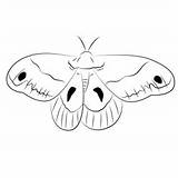 Moths Coloring Pages For Kids Printable Free Download  sketch template