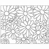 Gerber Daisy Coloring Pages sketch template