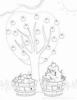 Apple Picking Coloring Pages sketch template