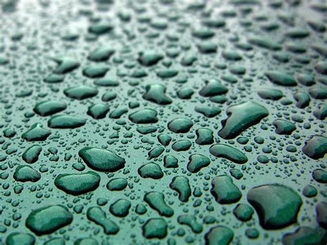 Rain Drops Free Photo Download | FreeImages