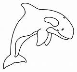 Killer Whale Jumping Coloring Page  Free Printable Pages For Kids sketch template