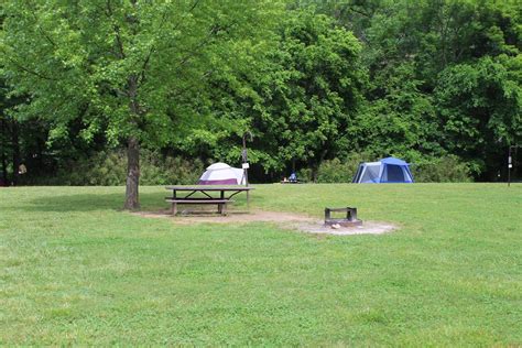 Site 11 - Tent Site, Steel Creek Campground - Recreation.gov