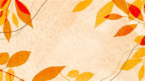 Beautiful Colored Autumn Leaves Background Decoration, Leaves, Autumn ...