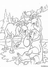 brother bear coloring Page Brother 2 Picture  sketch template