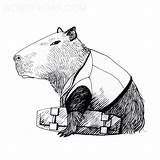 Capybara Image coloring page  Download Print Or Color Online For Free sketch template