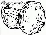 Coloring Coconut Pages Kids Printable Fruit Shared Apple Orange Had  sketch template
