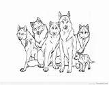 Printable Coloring Pages Of Wolves sketch template