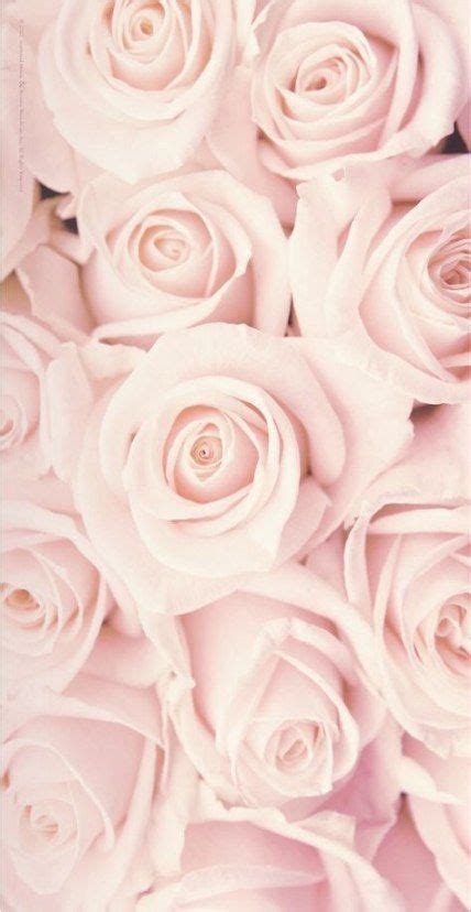 Vintage Pink Roses Wallpaper