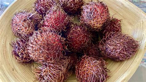 All About Rambutan: How to Eat This Spiky Fruit