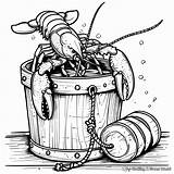 Lobster Coloring Pages  Free & Printable sketch template