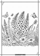 Printable Larkspur Coloring Pages Free PDF  Flower Page sketch template