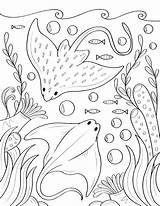 Free Printable Stingray coloring Page Download It At Https  sketch template