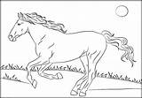 Mustang Horse Coloring Pages sketch template
