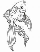 Simple Goldfish Coloring Page sketch template
