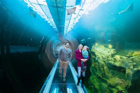 Haus des Meeres Aquarium with 10m Atlantic Tunnel - Aquaria News | MAT LSS