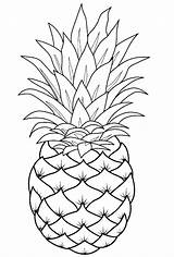 Pineapple Template  Fruit coloring Pages Drawing Printable sketch template