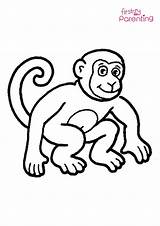 Coloring Pages For Monkeys sketch template