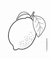 Lemon coloring Pages Download And Print For Free sketch template
