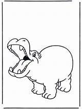 Hippopotamus Coloring Pages  Home sketch template
