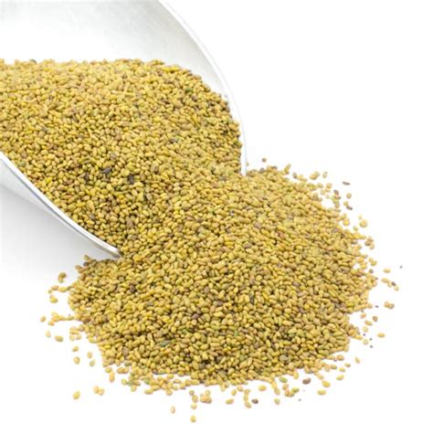 Organic Alfalfa Seeds: Fast and Easy Growers for Sprouting - Bulk Nuts 4 You