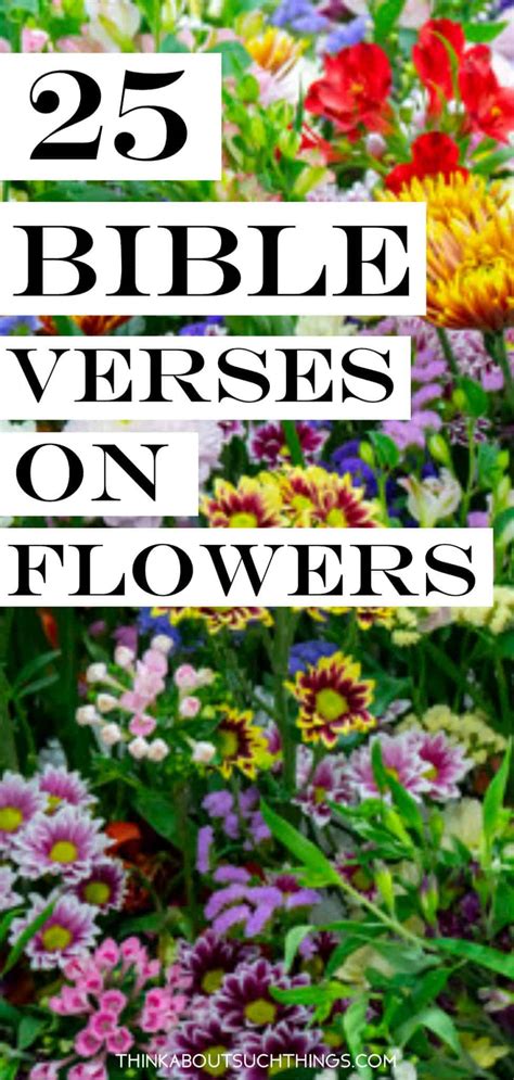 25 Interesting Bible Verses About Flowers | Think About Such Things