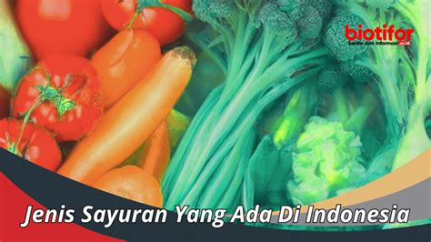 20 Jenis Sayuran Yang Ada Di Indonesia