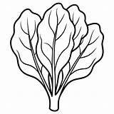 Spinach vegetable Outline coloring book Page Line Art Drawing  Premium sketch template
