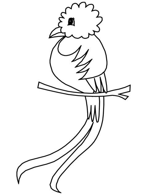 Quetzal Bird Coloring Page | Print Quetzal Coloring Page