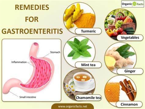 Fruits for gastroenteritis - Food Keg