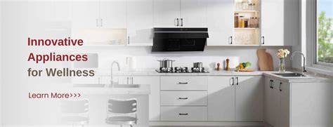 Range Hoods, Cooktops, In-Sink Dishwasher, Ovens | FOTILE