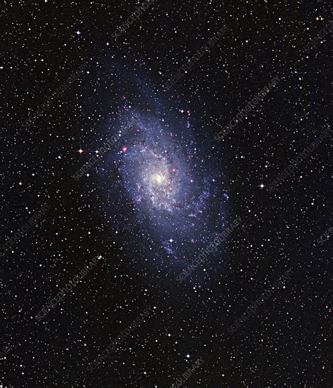 Pinwheel galaxy - Stock Image - R852/0022 - Science Photo Library