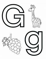 Letter G Alphabet Coloring Page Sheer By Knox Worksheets  TpT sketch template