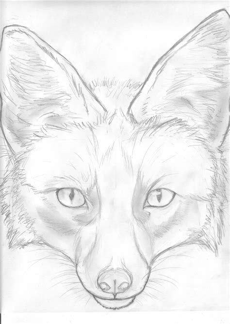 Fox Face Sketch by Kunzai on DeviantArt