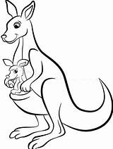 Printable Kangaroo Coloring Pages  SheenKey sketch template